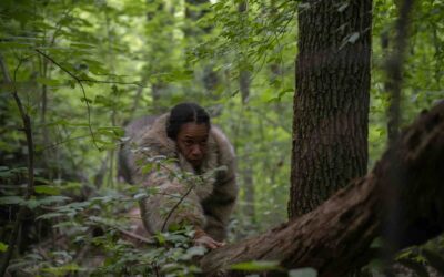 Wood, Wood, Wood. Nothing’s ever good.